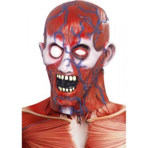 Moška anatomska Maska - MojaZabava.si