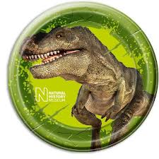 Dino NHM krožniki - MojaZabava.si